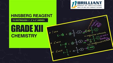 hinsberg test|hinsberg reagent class 12.